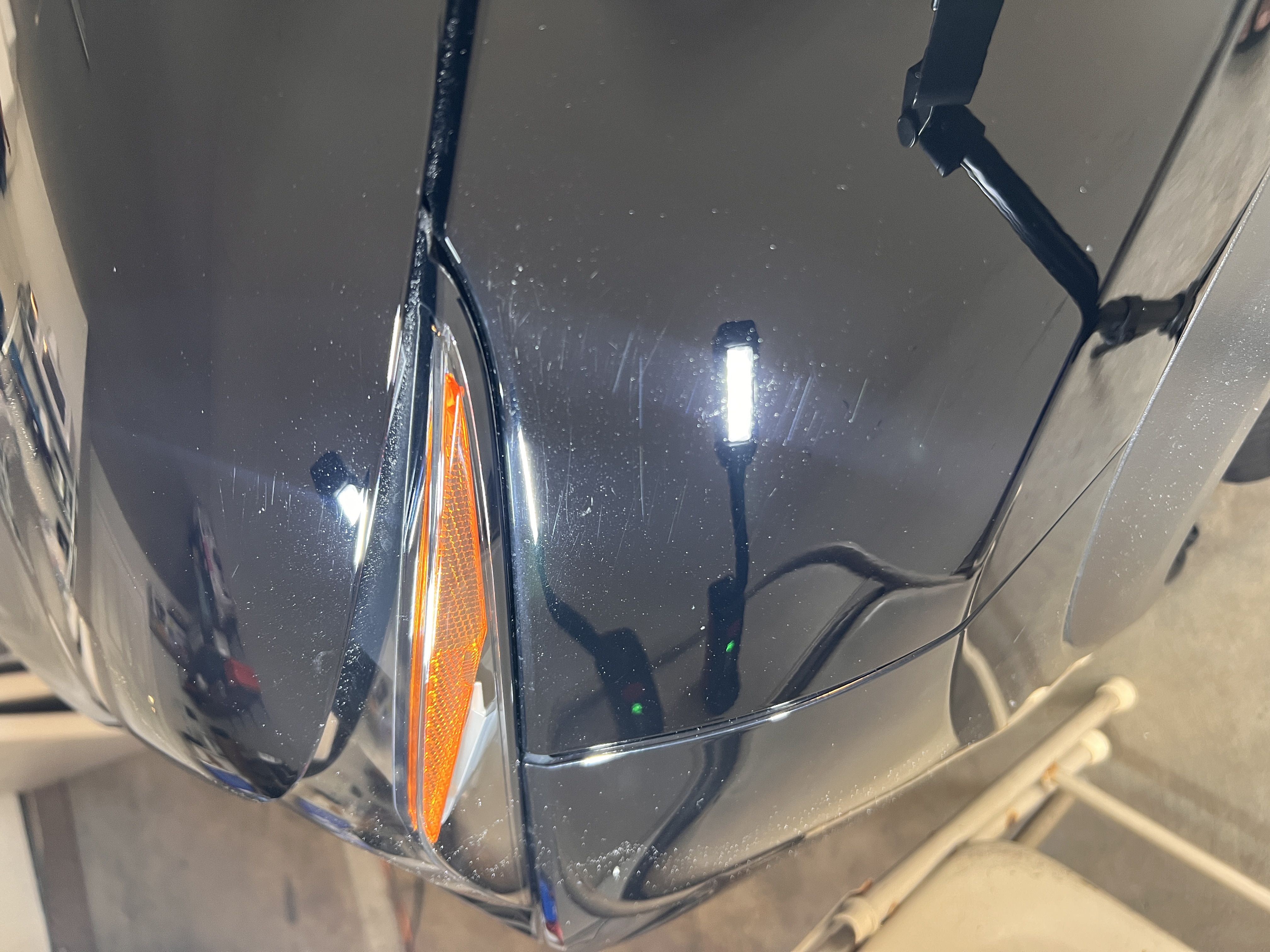 Black car paint after correction with improved clarity