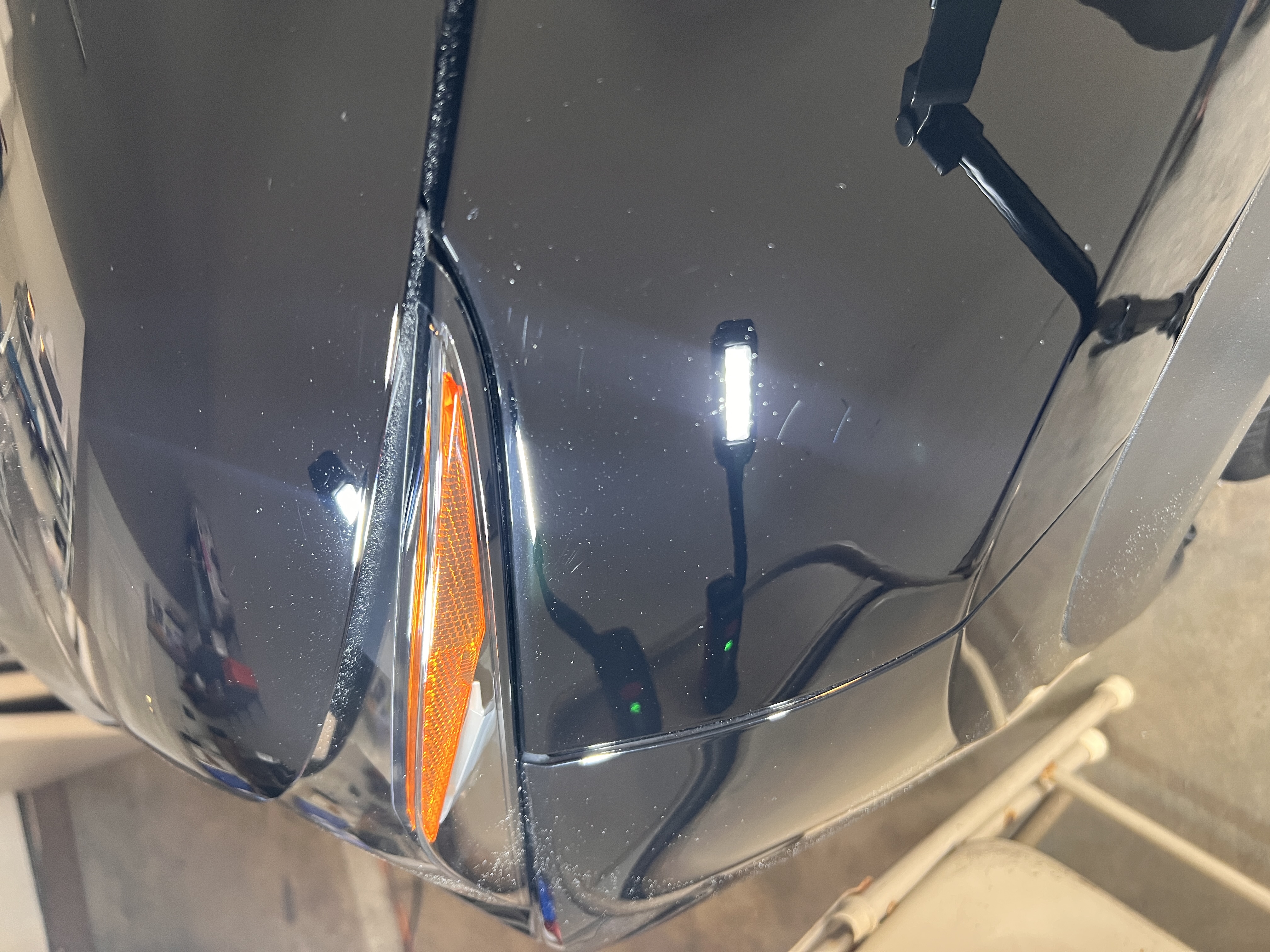 Black car after ceramic coating with enhanced gloss