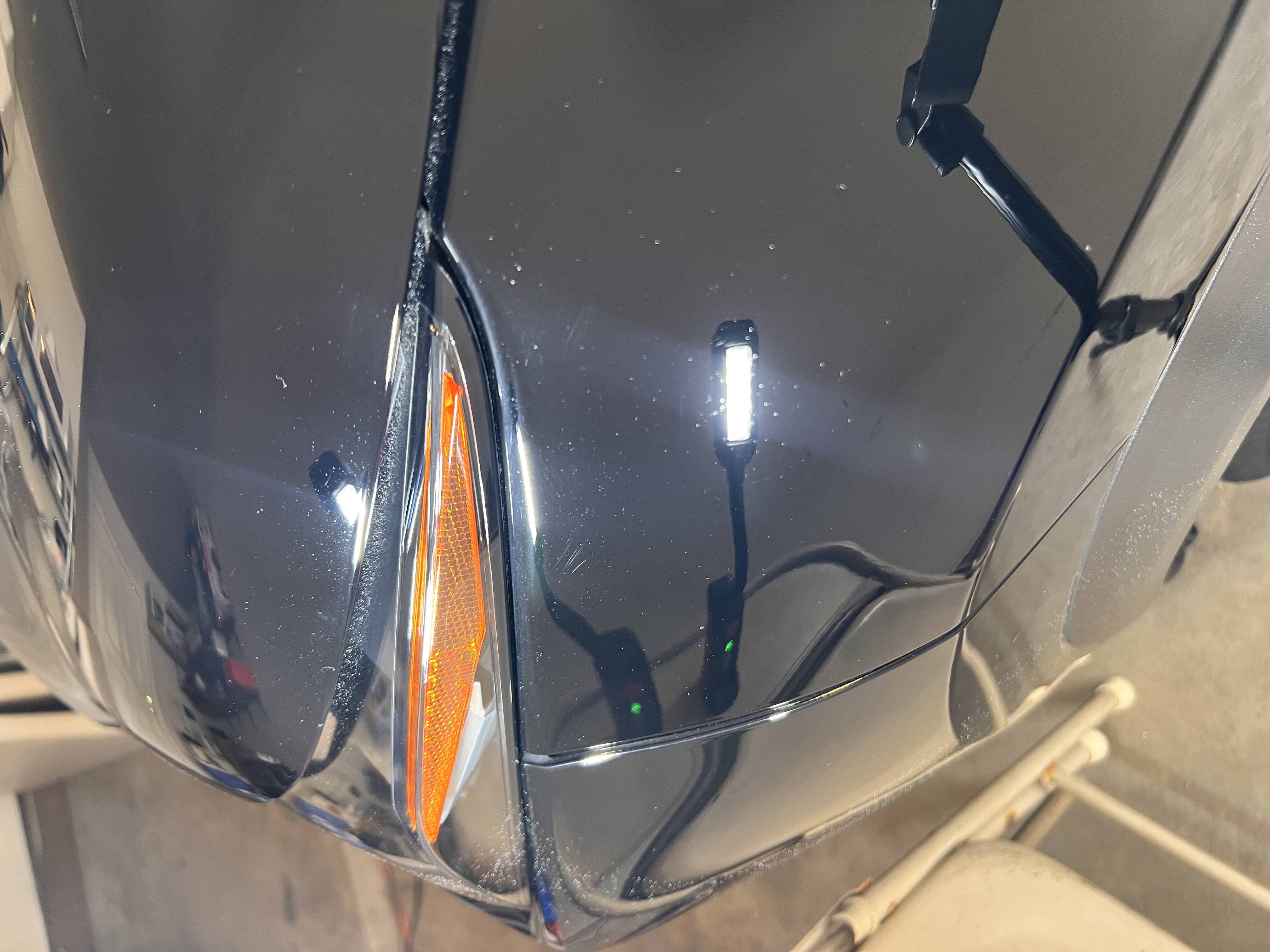 Black car final finish after correction and ceramic coating